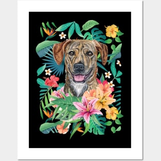 Tropical Plott Hound Posters and Art